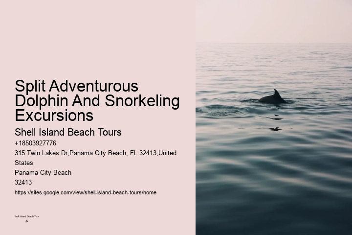 Shell Island Blue Dolphin Tours
