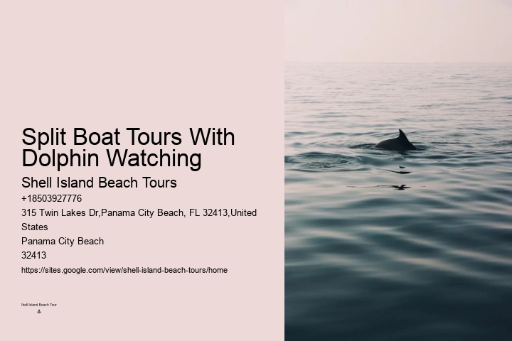 Is It Safe To Swim With Wild Dolphins