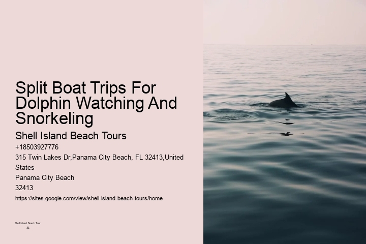Split Expert-led Dolphin And Snorkeling Tours