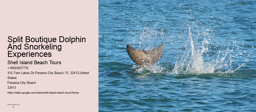 Private 2 Hour Dolphin Cruise