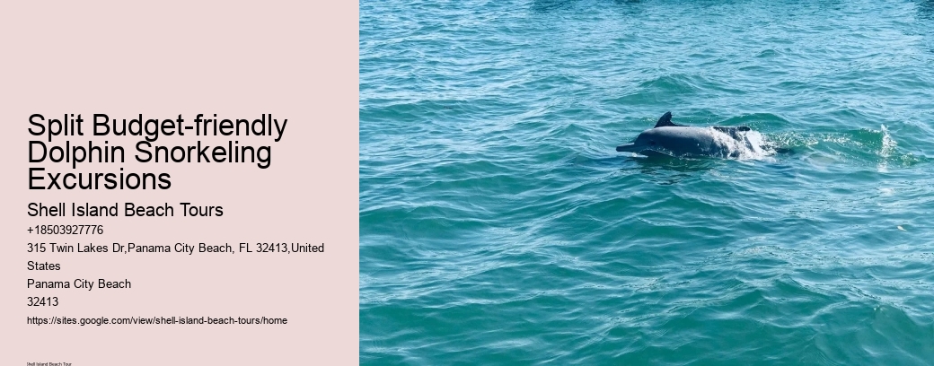 Split Budget-friendly Dolphin Snorkeling Excursions