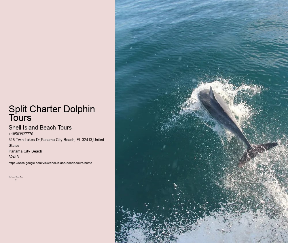 Split Customized Snorkeling And Dolphin Itineraries