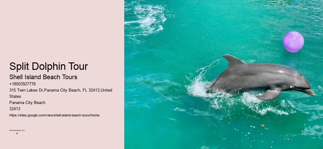 Split Exclusive Charters For Dolphin And Snorkeling Adventures