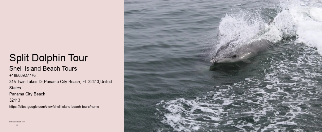 Is swimming with dolphins an additional cost on the tour
