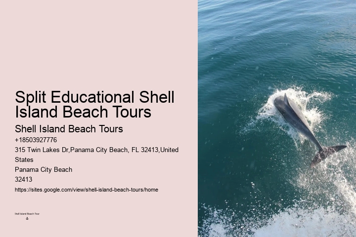 Best Panama City Beach Boat Tours