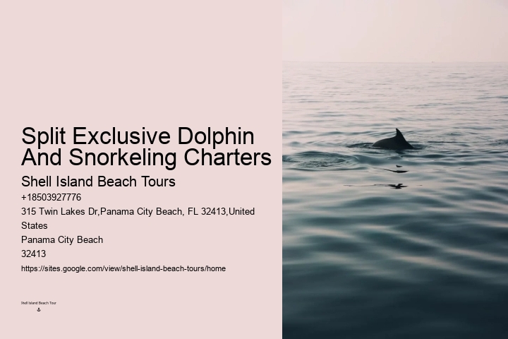 Panama City Beach dolphin exploration voyages