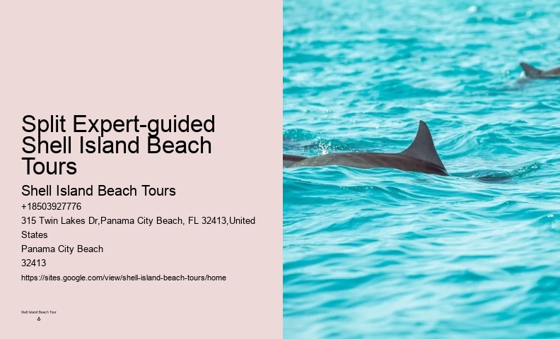 Dolphin Sightseeing Tours