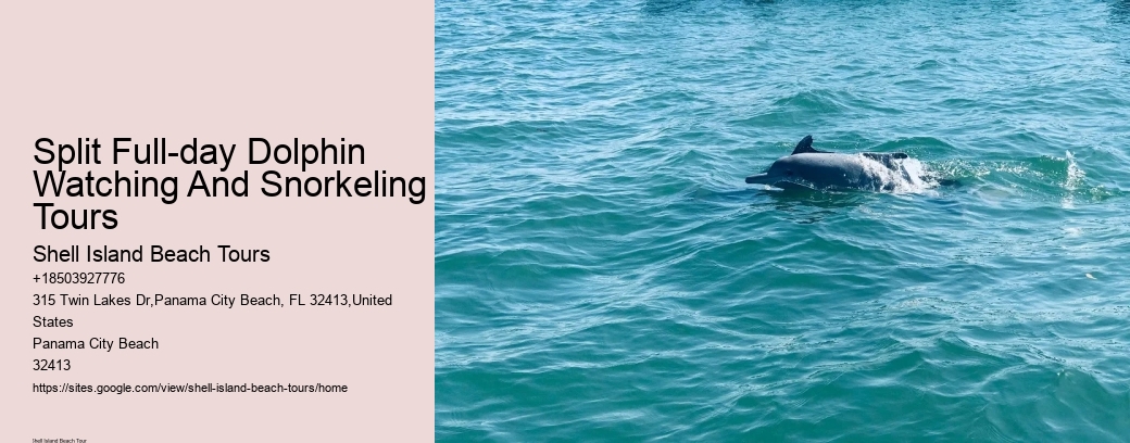 Split Full-day Dolphin Watching And Snorkeling Tours