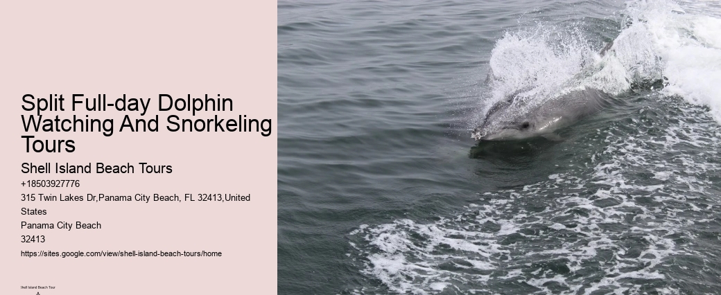 Can Dolphins Smell Fear