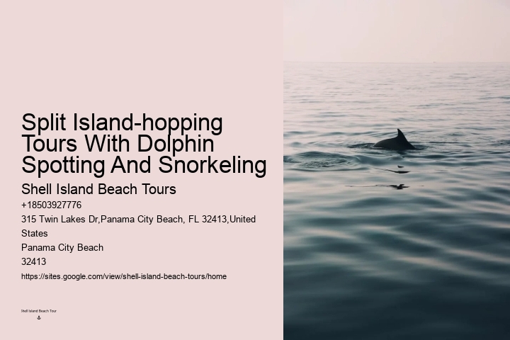 Secluded Dolphin Encounter and Snorkeling Experience