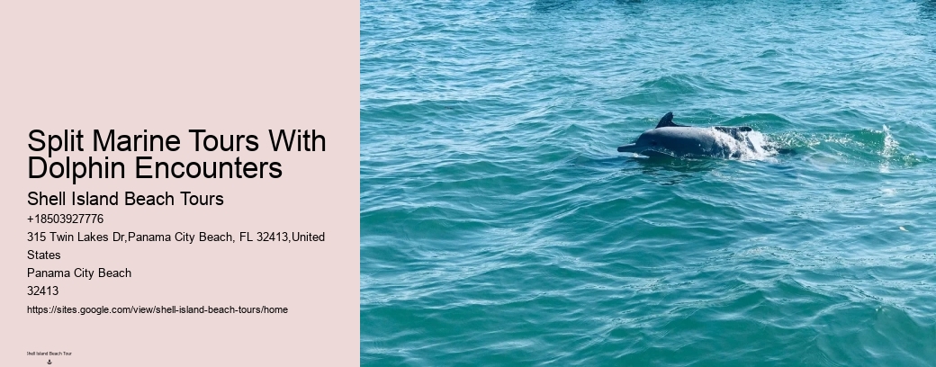 Split Marine Tours With Dolphin Encounters