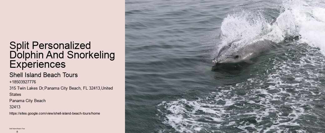 Is there a restroom on board the dolphin tour boats