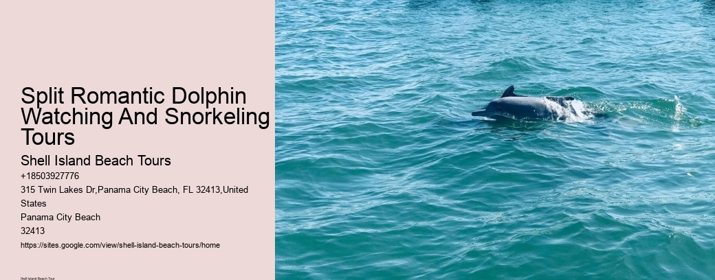 Split Romantic Dolphin Watching And Snorkeling Tours