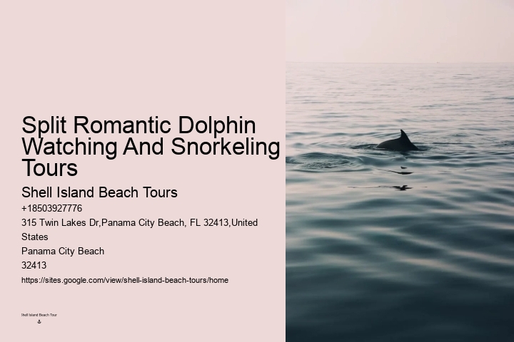 Do Dolphins Really Swim In Front Of Ships