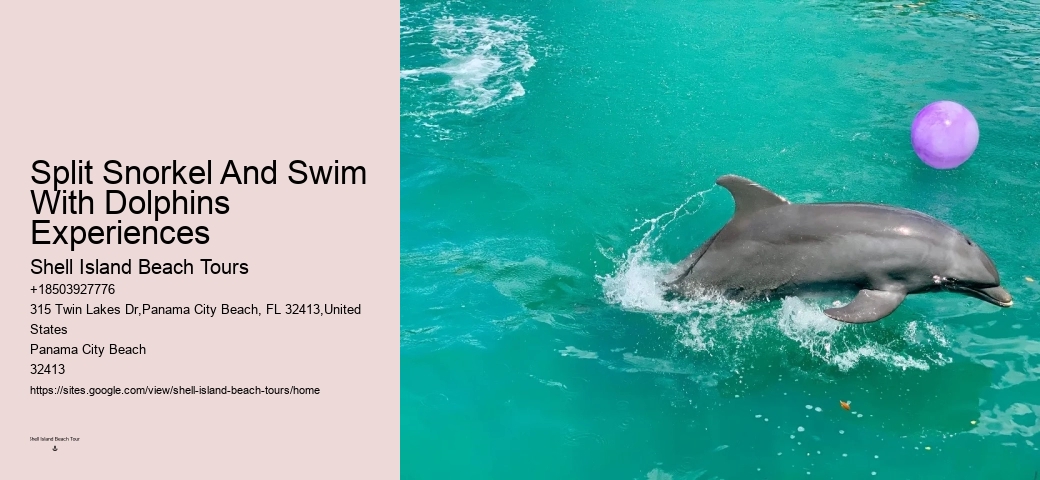Dolphin Boat Tours Panama City Beach Fl