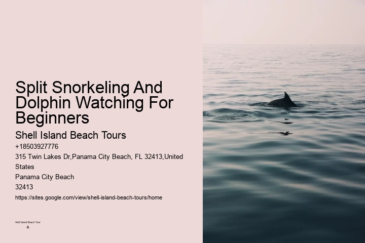 Do Dolphins Ever Bite Hooks