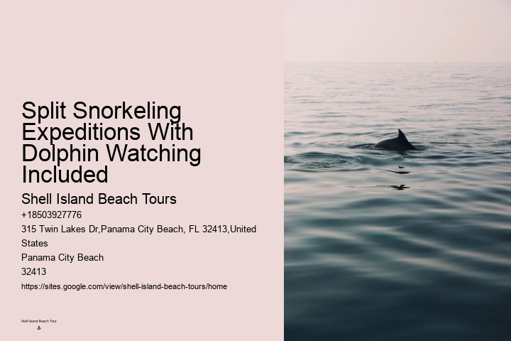 Is It Ethical To Swim With Dolphins