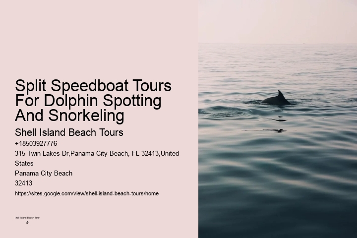 Dolphin encounters at Panama City Beach