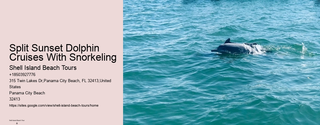 Split Sunset Dolphin Cruises With Snorkeling