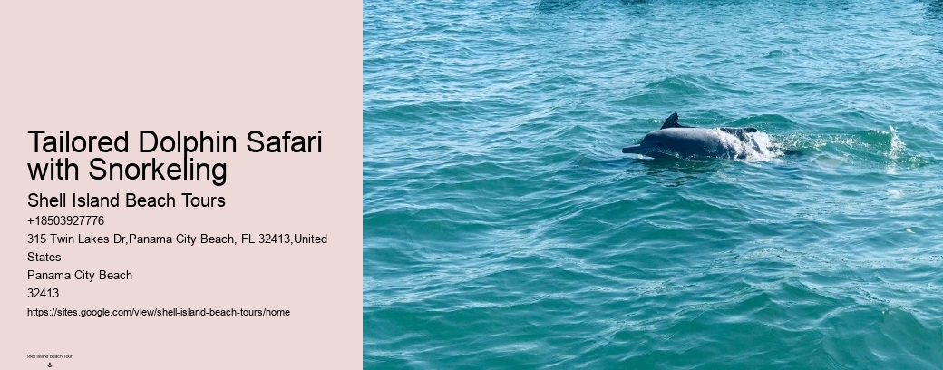 Tailored Dolphin Safari with Snorkeling