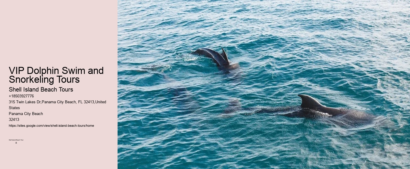 Blue Dolphin Charters Tours
