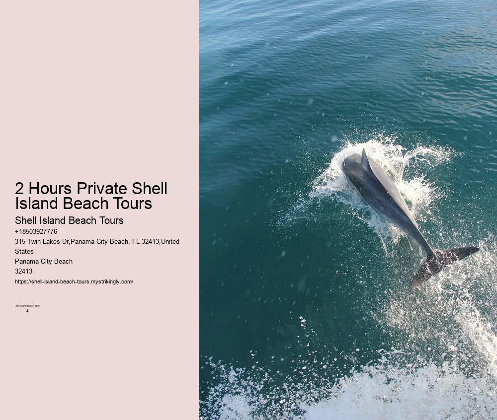 Split Snorkeling Expeditions With Dolphin Watching Included