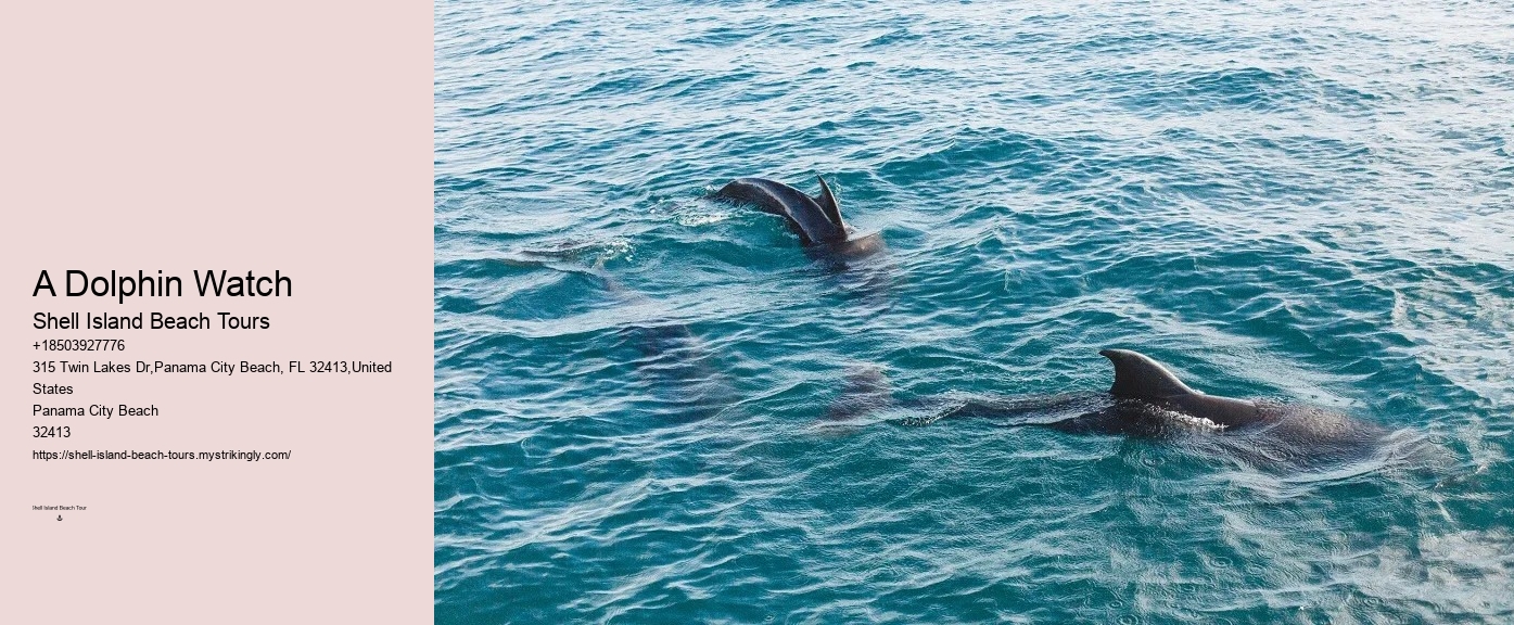 Are Dolphins Naturally Friendly Toward Humans If So