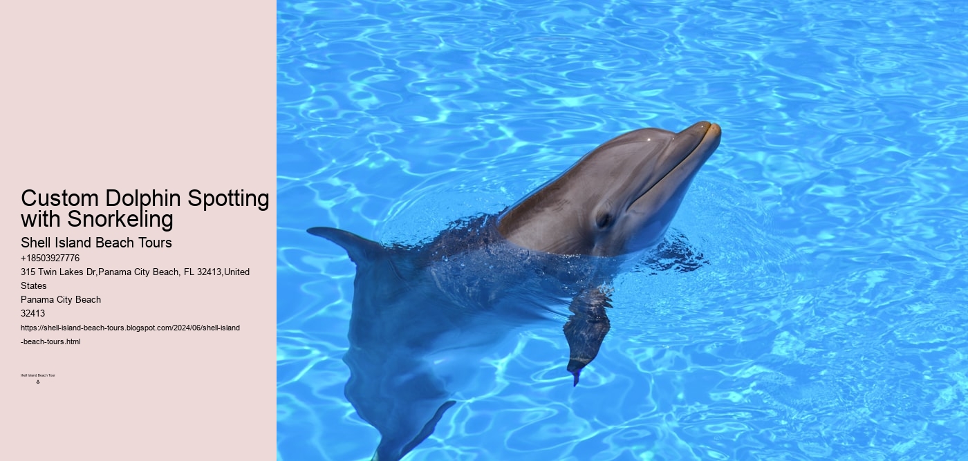 Custom Dolphin Spotting with Snorkeling