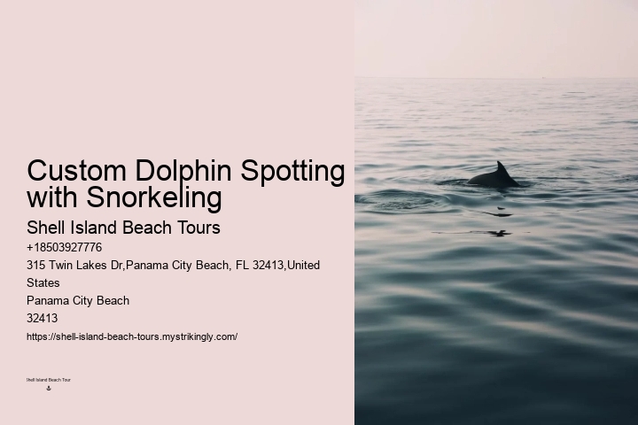 Dolphin Exploration Cruises in Panama City Beach