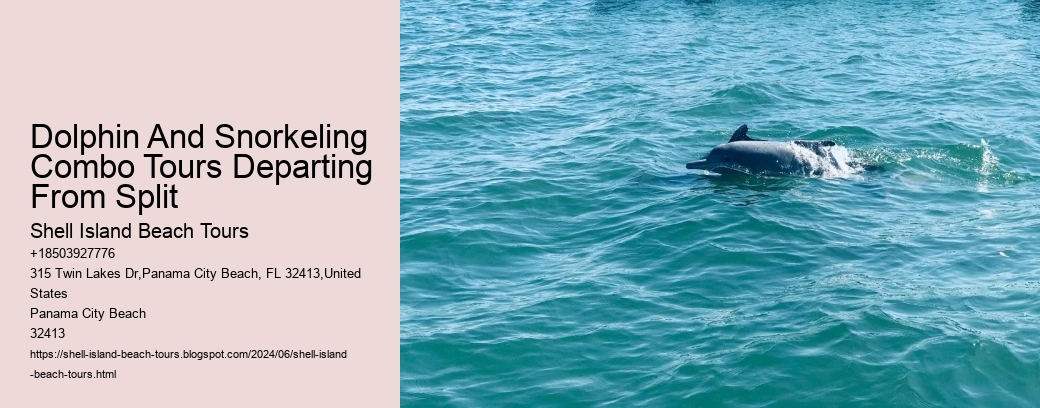 Dolphin And Snorkeling Combo Tours Departing From Split