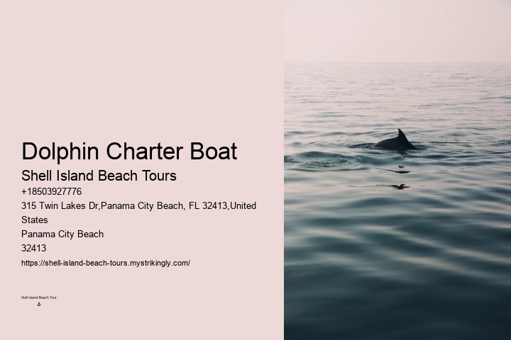Dolphin Tours In Panama City Beach Florida