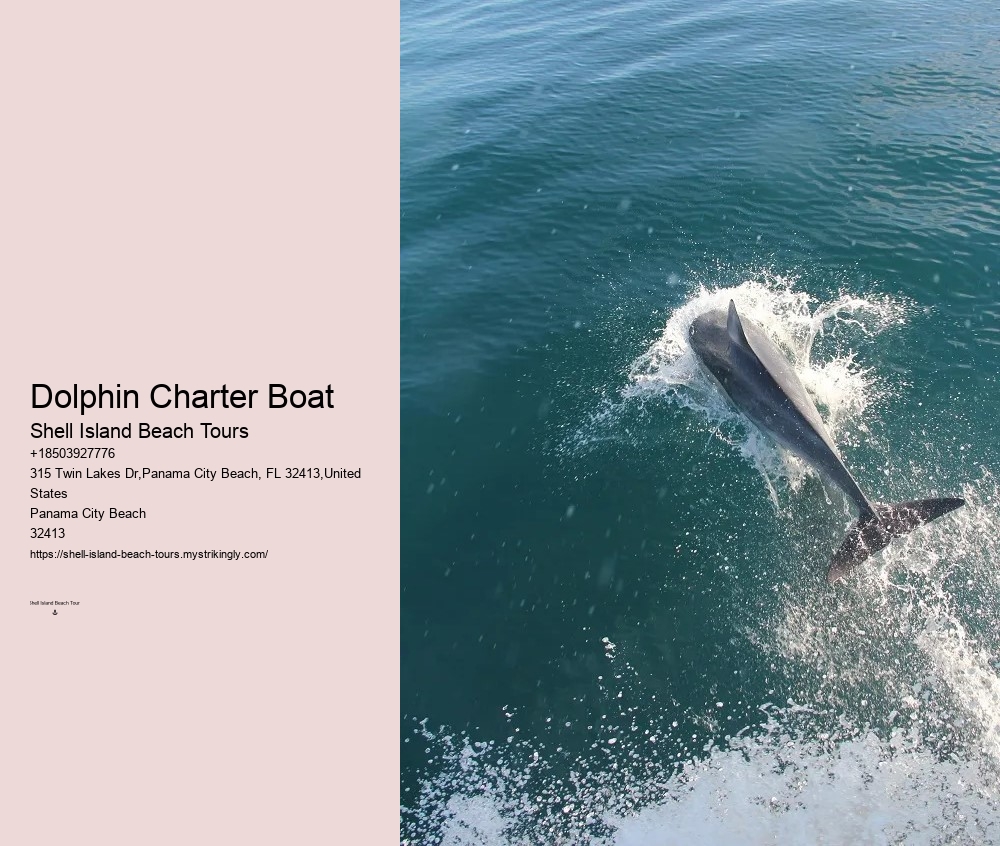 Best Dolphin Cruise Panama City Beach