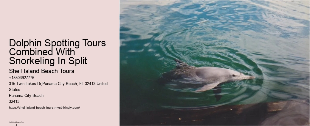Secluded Dolphin Adventure and Snorkeling Experience