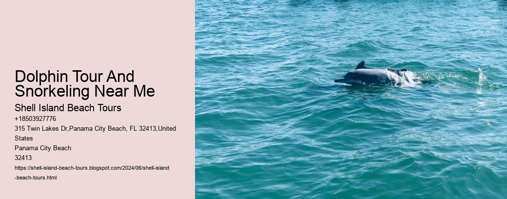 Dolphin Tour And Snorkeling Near Me
