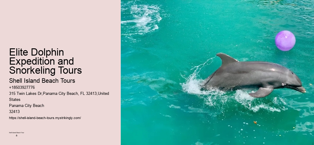Panama City Beach Dolphin Sightseeing