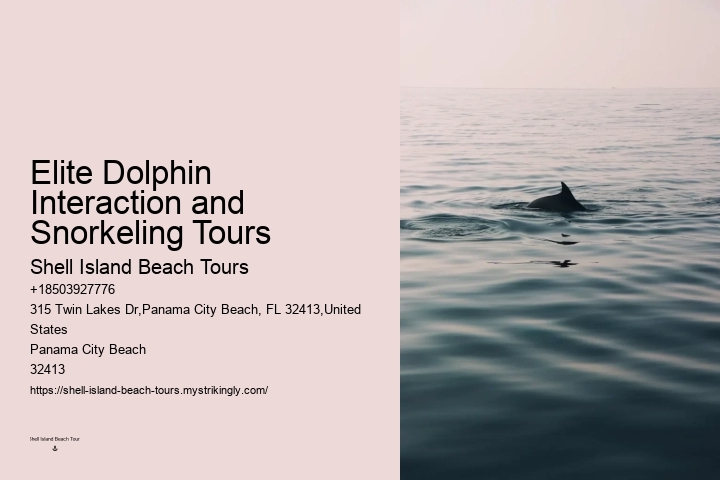 Why Do Dolphins Swim In Front Of Cruise Ships
