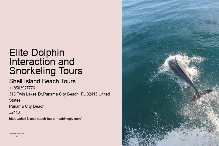 Jet Boat Dolphin Tours