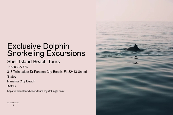 Dolphin Discovery Tours PCB