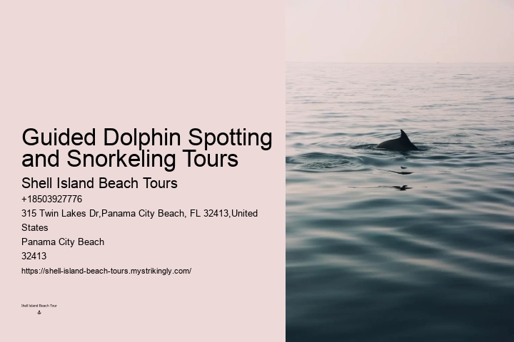 Panama City Dolphin