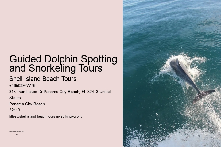 What Is The Life Expectancy Of A Dolphin In Captivity