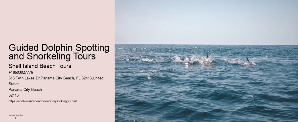 Split Thrilling Dolphin And Snorkeling Charters