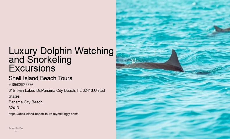 PCB Dolphin Exploration Voyages