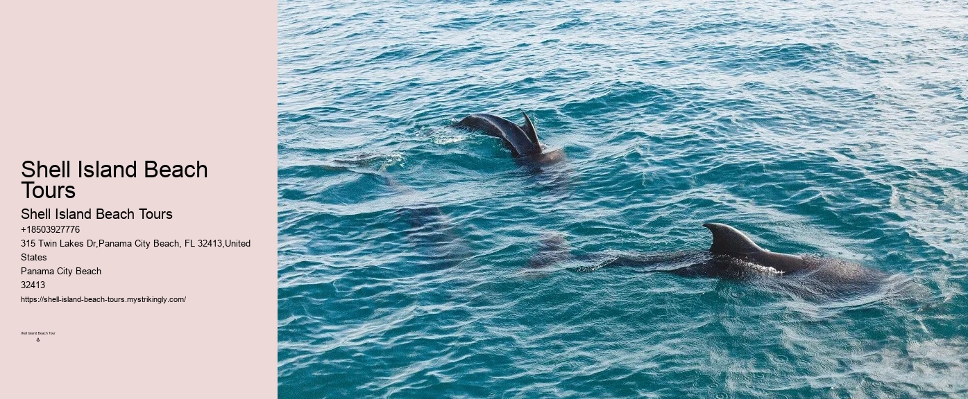 Are there any specific clothing recommendations for the dolphin tour