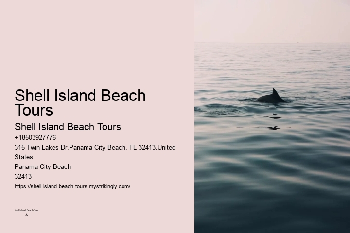 Panama City Beach dolphin spotting cruises