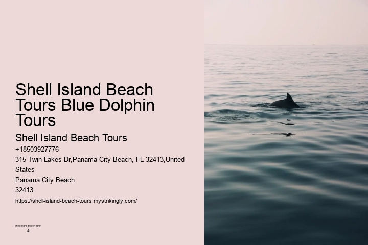 Dolphin boat tours at Panama City Beach