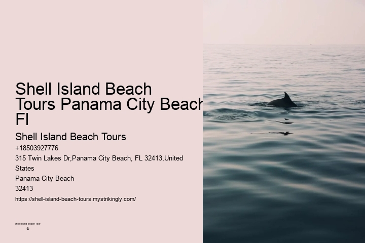 Private 2 Hour Dolphin Snorkeling And Island Excursion