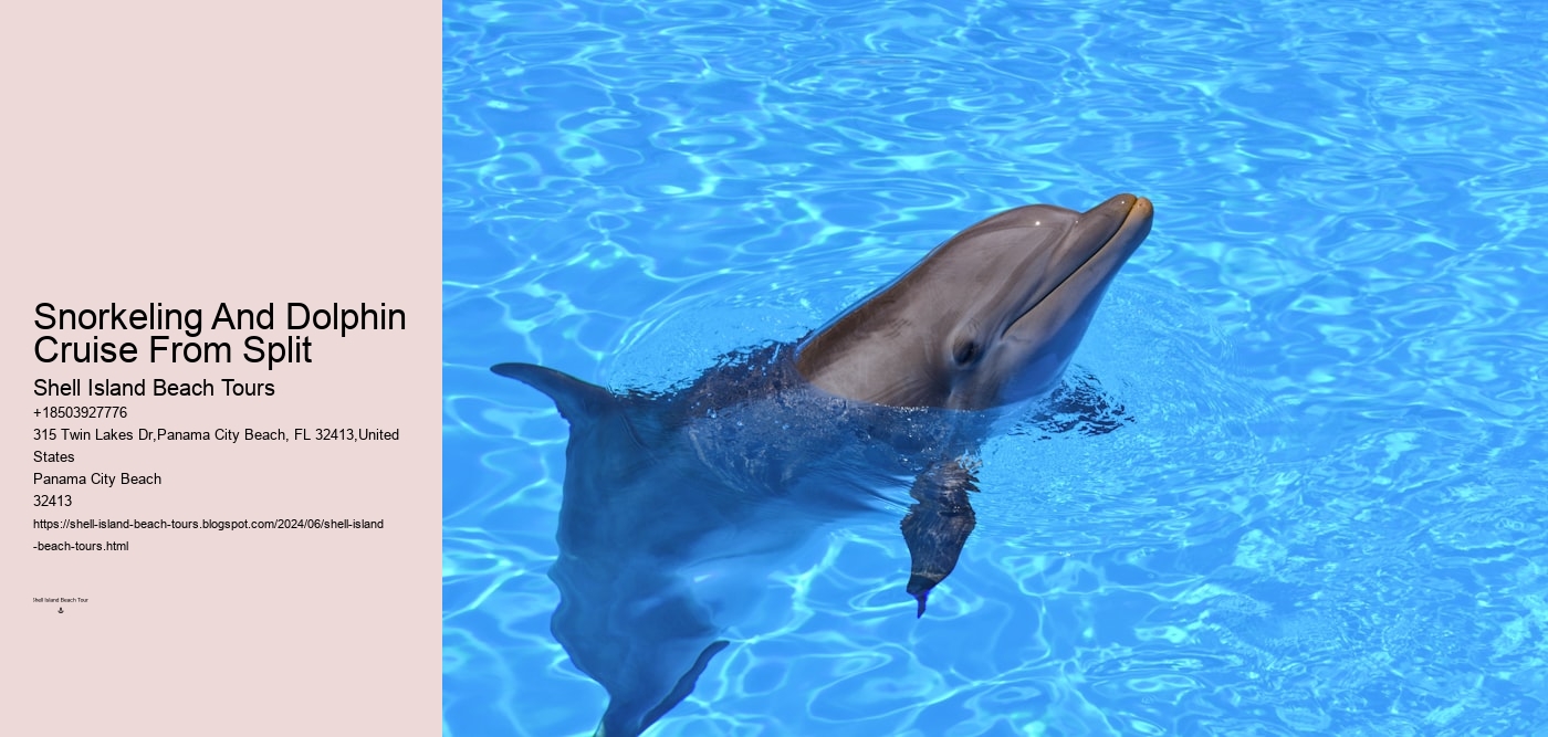 Snorkeling And Dolphin Cruise From Split