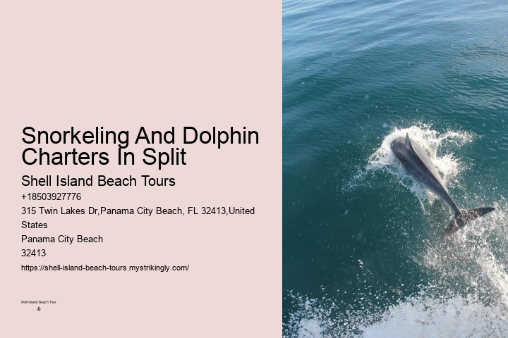Split Catamaran Dolphin Watching And Snorkeling Expeditions