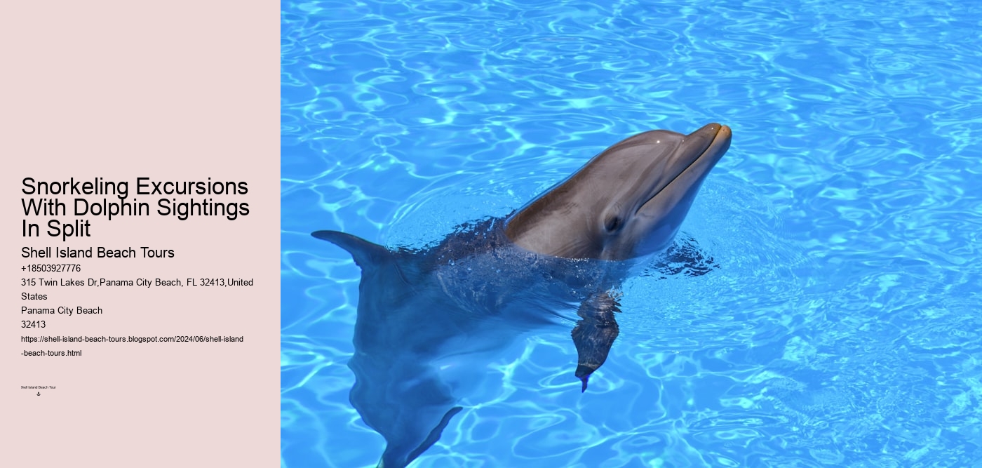 Snorkeling Excursions With Dolphin Sightings In Split