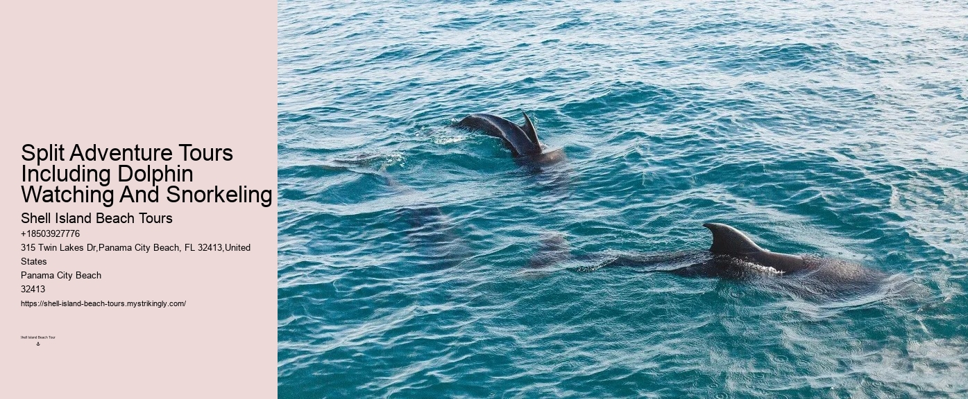Panama City Beach dolphin boat trips